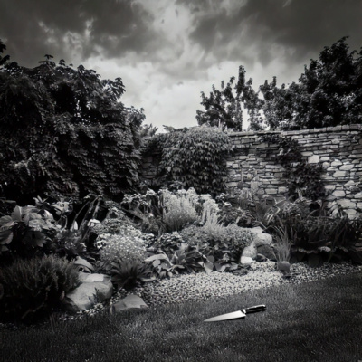 over the garden wall